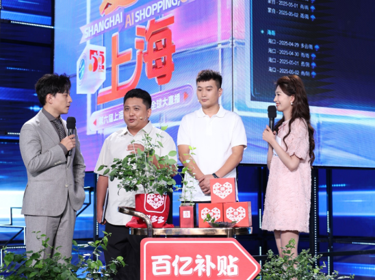 从水果盆栽到AI卖水果，拼多多“千亿扶持”计划助力商家抢抓“五五商机”挖潜拓市